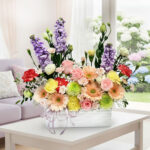 FD 503 - Daisy Darlings