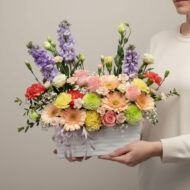 FD 503 - Daisy Darlings - Image 2