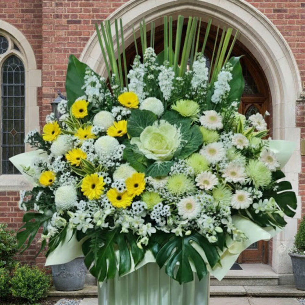 BC 331 - Kindness - Image 2