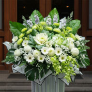 BC 343 - Cherished - Image 2