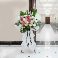 BC 314 - Everlasting - Image 2